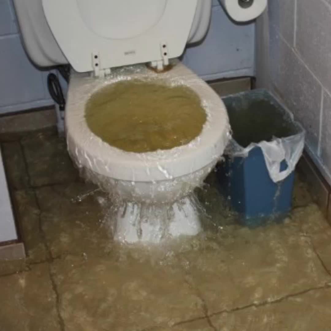 Pengurai WC Penuh Tanpa Sedot Cairan Bio GM Penguras Wc Mampet Septic Tank Bau Menguap Pembersih