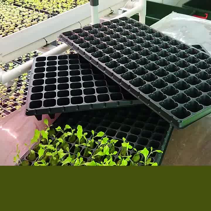 JIRIFARM - Tray Semai Sawit 32 Lubang Tinggi 11 cm Paket 10 Pcs Tebal 1 mm Bahan PS Pohon