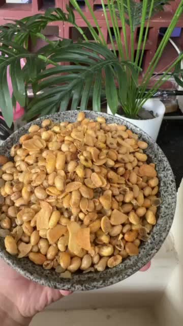 Kacang Kedelai Goreng 1kg Snacks Rasa Bawang Putih - Asin