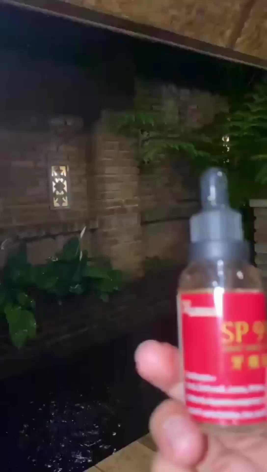 Sp99,Si Kecil Sahabat Nyeri Pada Gigi Maupun Gusi Bengkak