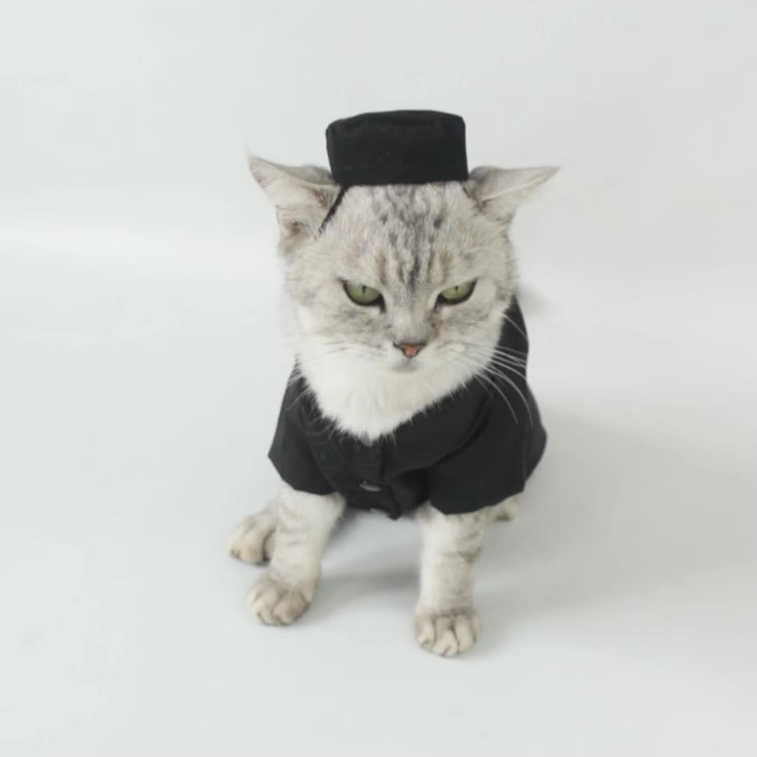 Baju Kucing dan Anjing Lucu Cowok Koko Lebaran - Koko Kaifa 2025