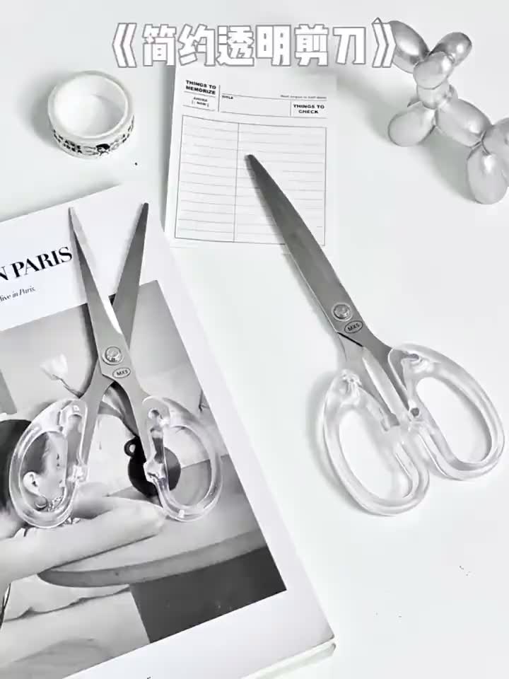 Gunting Kertas Transparan Aesthetic Scissors Scrapbook Use