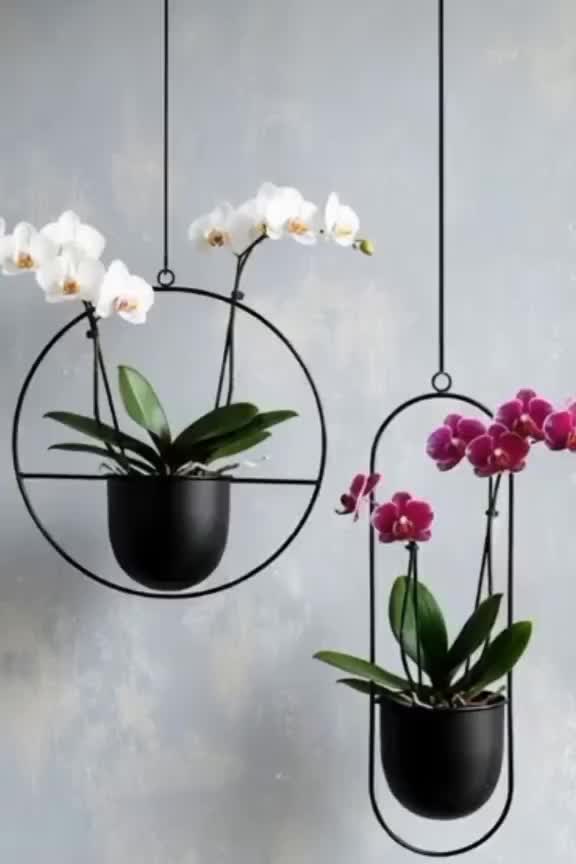 Rak Pot gantung / Pot gantung / rak bunga gantung / rak bunga / Gantungan Bunga Standing pot murah - HITAM, Diameter 34 & 16 cm