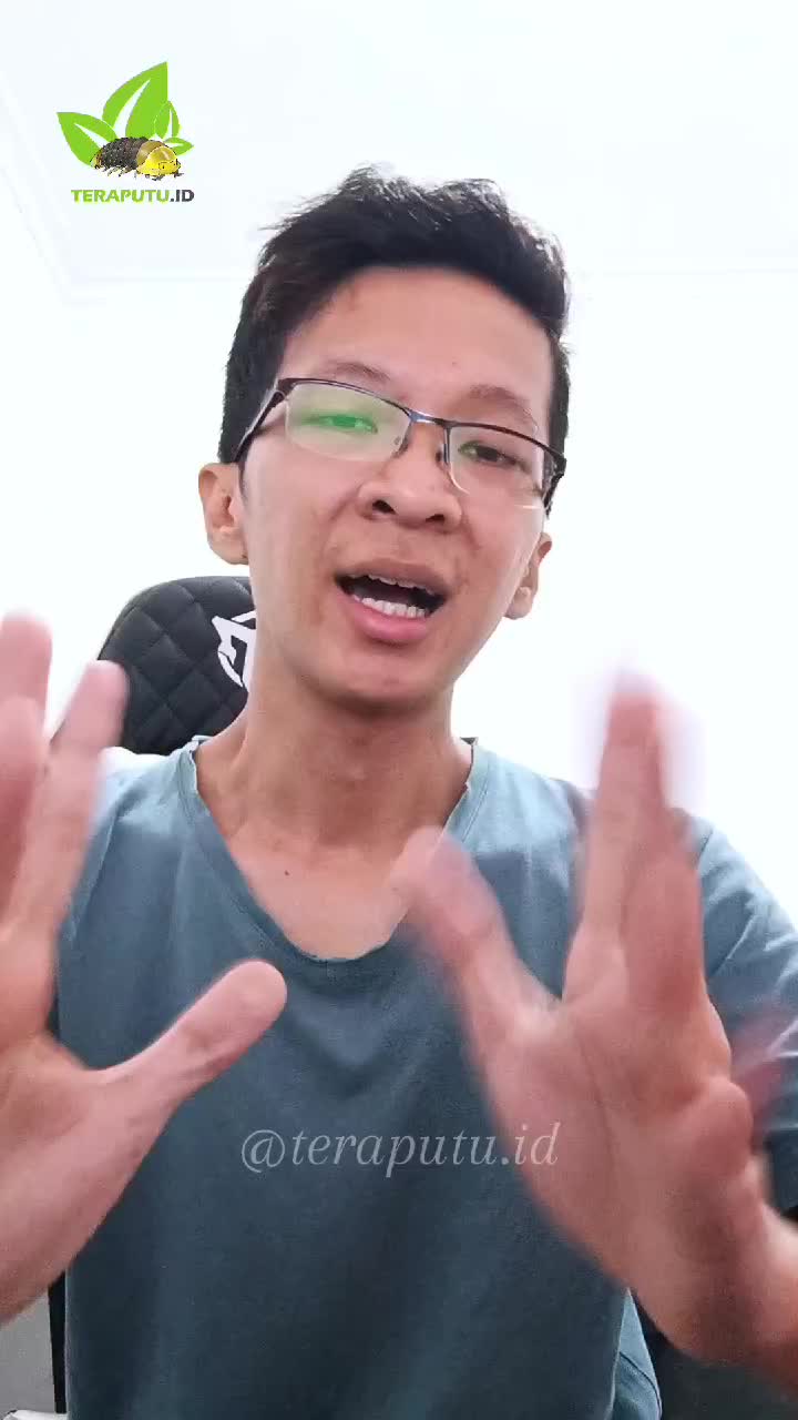 Makanan Rolled Oats Panggang untuk Hamster