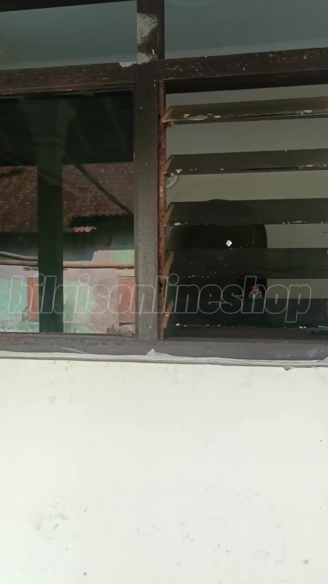 Cairan Pembasmi Nonor Kayu Pembasmi Teter Kayu CLEN Obat Anti Nonor Semprot Spray 285ml Pembasmi Nonor Ampuh Garansi Uang Kembali Jika Tidak Ada Hasil