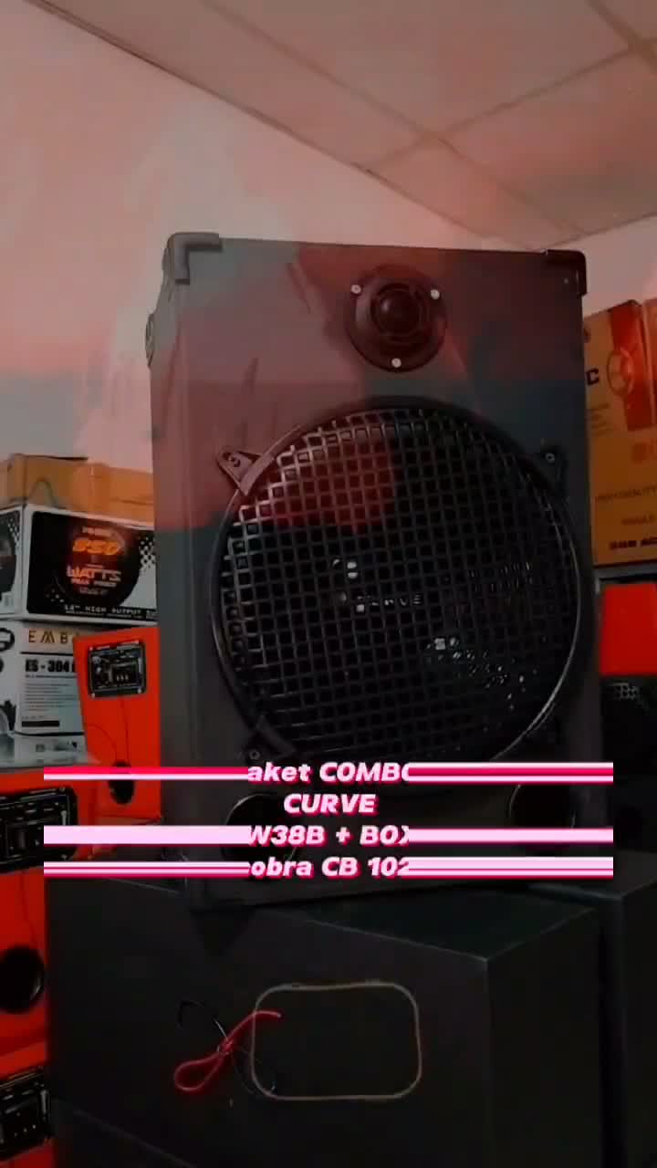 PAKET COMBO Speaker 12 Inch Woofer Curve 12 30H120SRW38B Plus Box 12 Panjang Plus Tweeter Cobra Dan siku