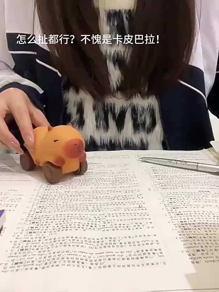 MAINAN KAPIBARA / CAPYBARA LUCU BISA BERUBAH BENTUK DITARIK DAN DICUBIT HADIAH LUCU UNTUK DIMAINKAN ANAK & DEWASA