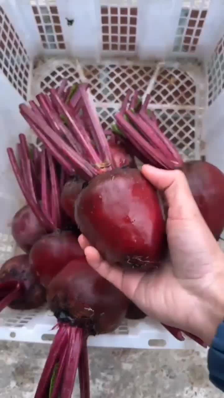 Buah bit Segar 1kg | untuk menaikkan hb darah