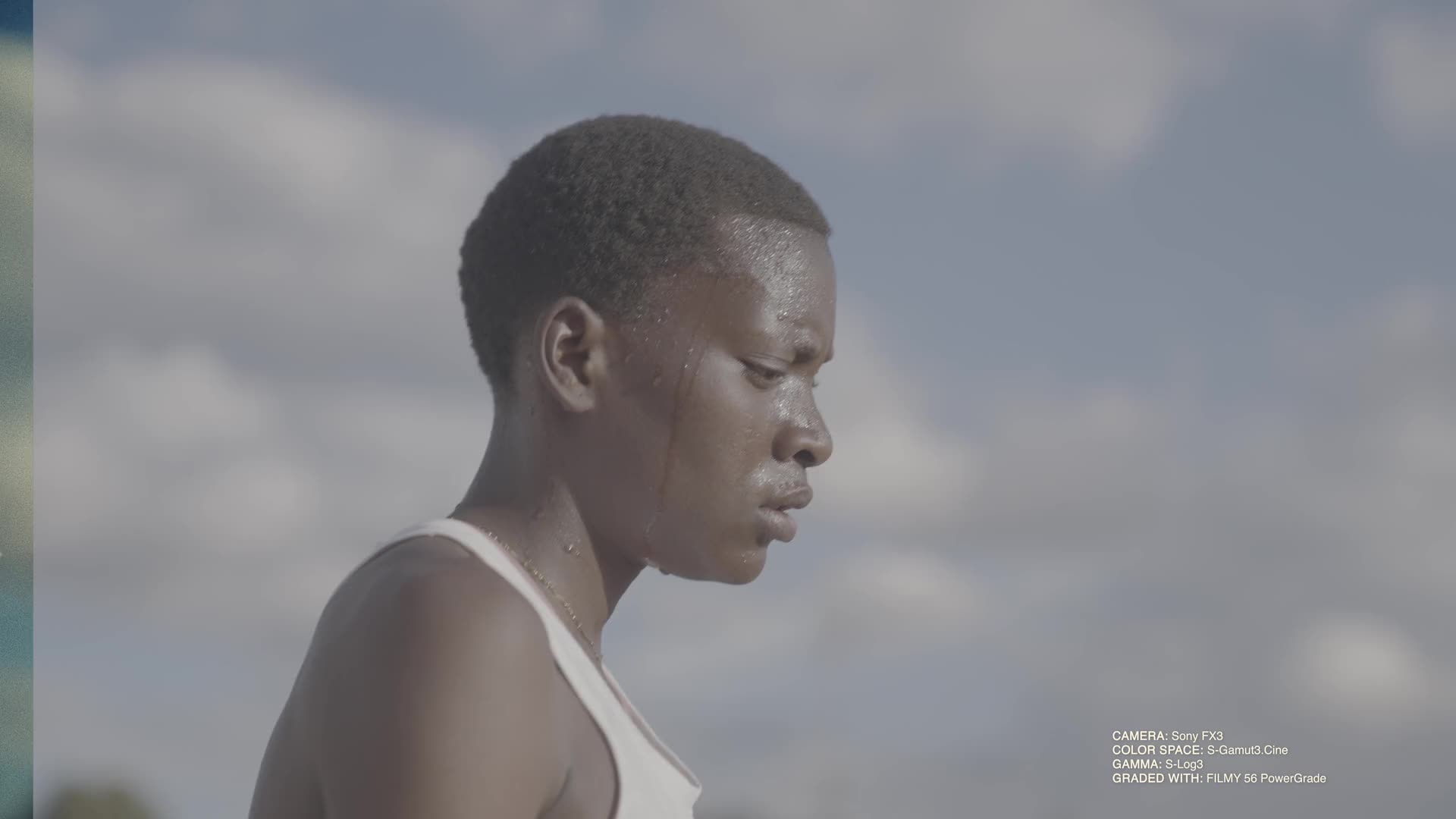 Danny Gevirtz - Filmy PowerGrade + LUTs