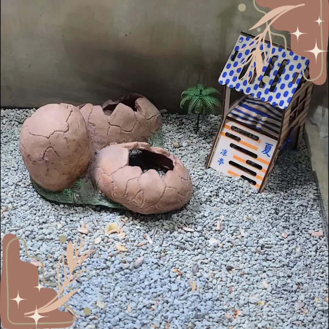 Kotak Multifungsi Tempat Mandi/Makan Hamster