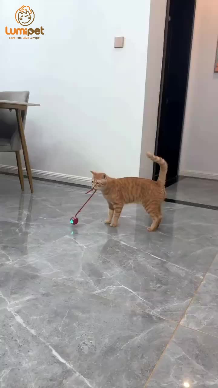 LUMIPET Mainan Bola Tali Kucing & Anjing/Smart Rotating Ball For Pet/Cat Rolling Ball Mainan Listrik Cerdas/Mainan Peliharaan Interaksi Cerdas