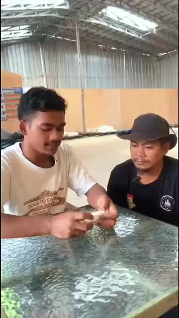 Baso aci paket 12 Pcs 20k an jajanan murah gratis ongkir promo makan tiktok bakso aci paket makanan instant halal pedas Grosir Gratis Ongkir Rp0 food Sambal Kuah boci Ayam Seblak Noodles