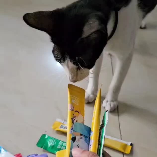 Snack Makanan Kucing Basah/ Wetfood Cemilan Stick/ Pet Strip Kucing
