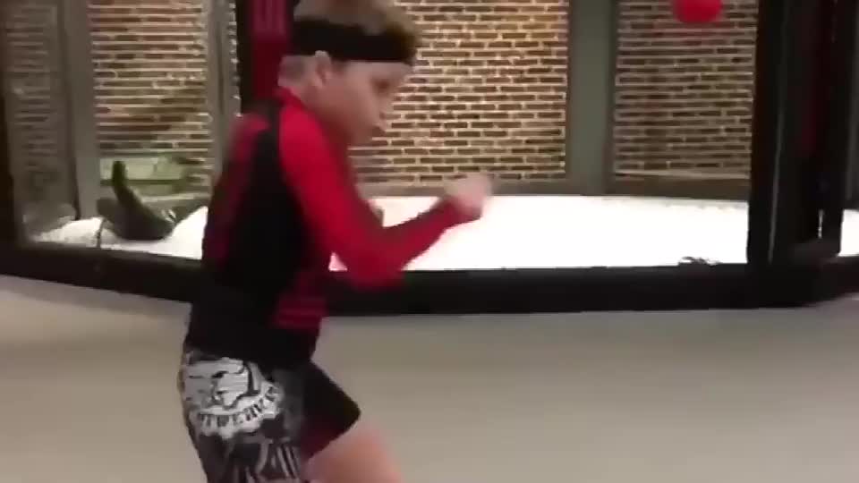 Alat Bantu Latihan Reflex Ball Samsak Tinju Speed Punching