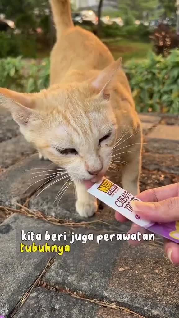 Parfum Kucing Anjing NOM NOM CLUPPY 60ml