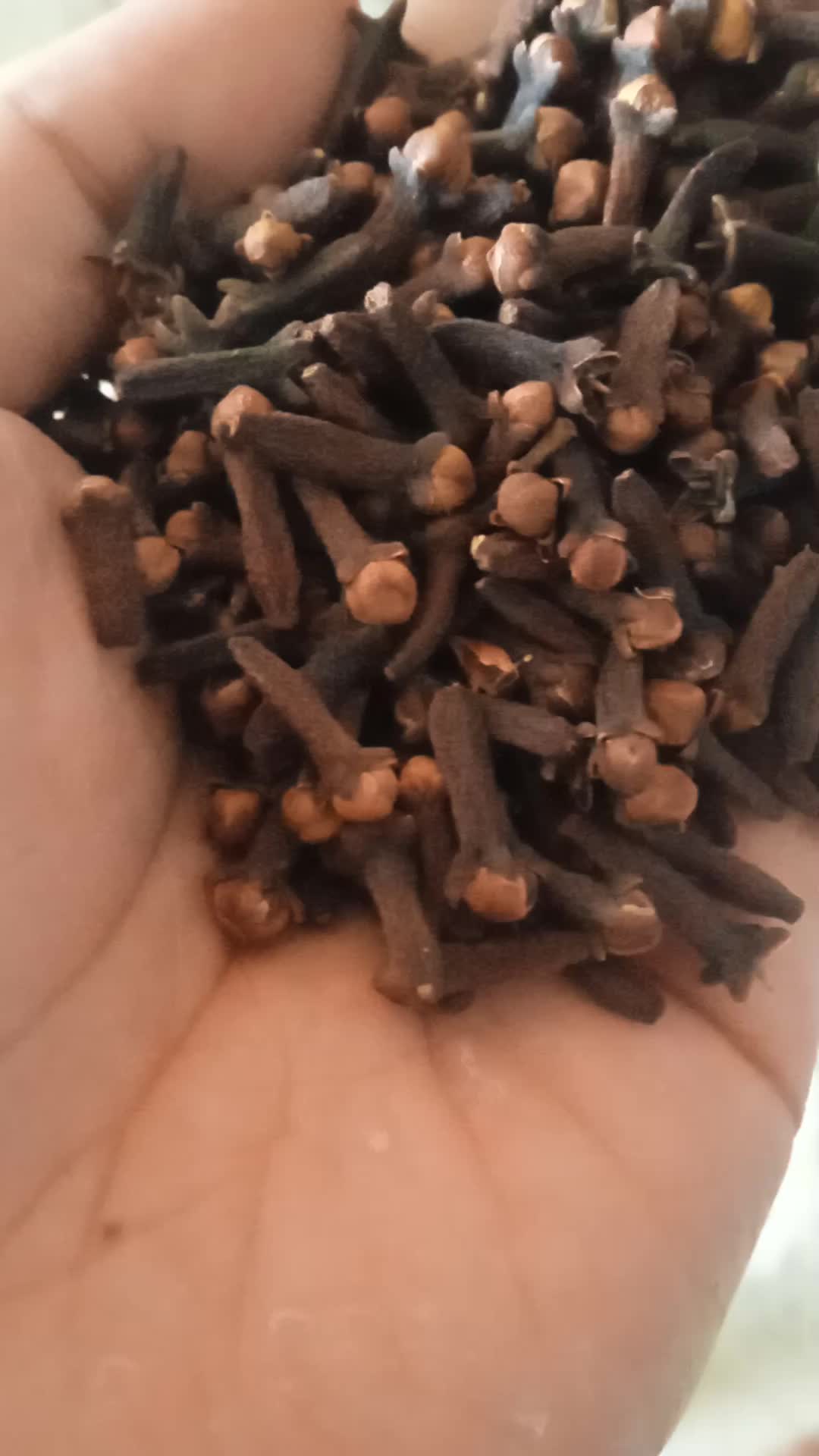 100 GRAM CENGKEH KERING, ORI GUNUNG WILIS KEDIRI JATIM