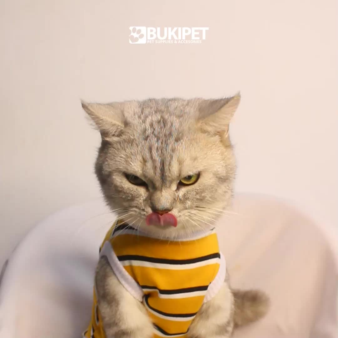 baju kucing lucu gemoy aksesoris hewan peliharaan - Buki tank trico series