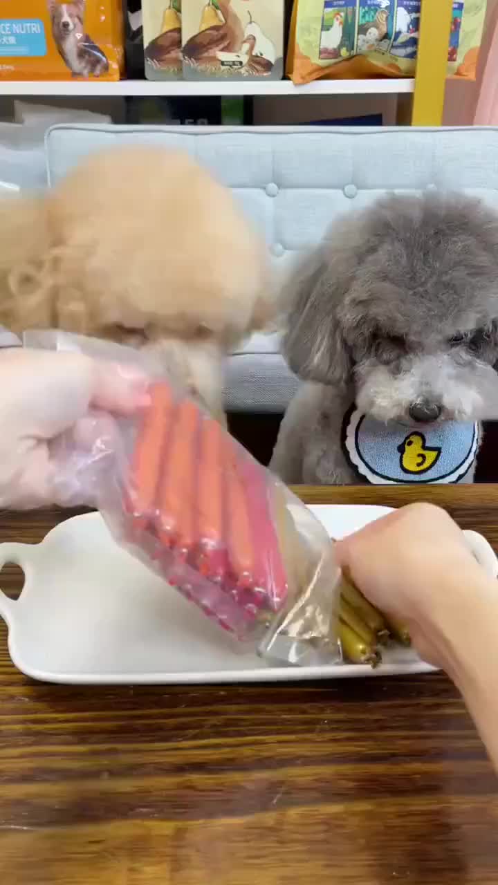 Sosis Kucing Sosis Anjing Puppy Cemilan Kucing Snack Kucing