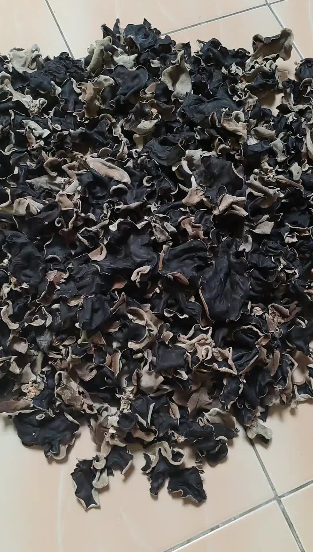 Jamur Kuping Kering Super Grade A Bahan masakan  Food Kering