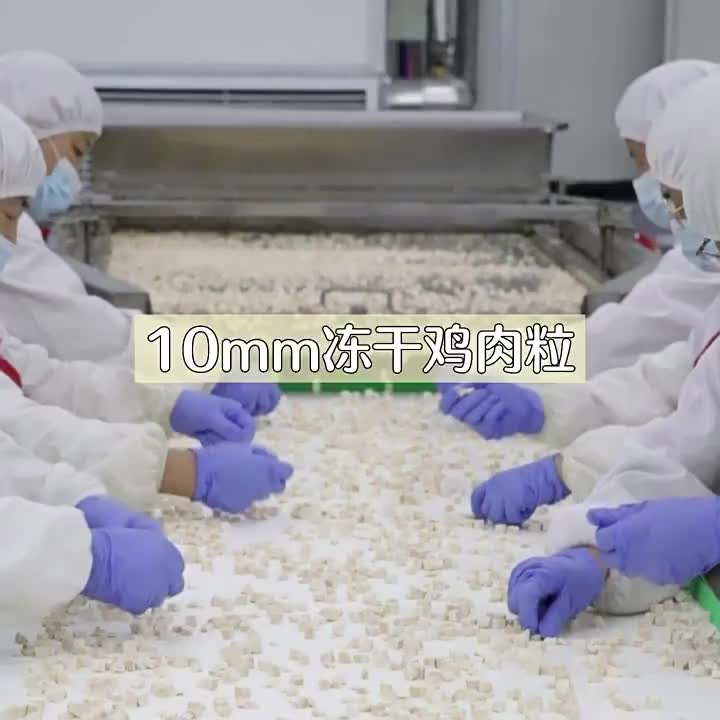 500g Makanan ringan hewan peliharaan beku-kering Hati ayam Hati bebek Kuning telur Dada ayam Daging bebek Dendeng Makanan ringan kucing Makanan ringan anjing Dendeng Makanan anjing Makanan kucing Makanan hewan peliharaan Makanan kucing impor