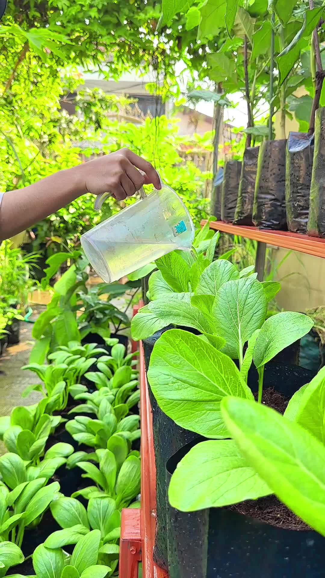 INFARM - Cocofiber 5 liter Serabut Kelapa   Tanah Tanaman  Serabut Kelapa Halus Cocok Untuk Tanam Hidroponik Tanam Buah Hidroponik Menyuburkan & Menahan Kelembapan Serabut Kelapa Menyimpan Air, Mengurangi Jamur, Menutrisi Akar Tahan Lama Murah Alami