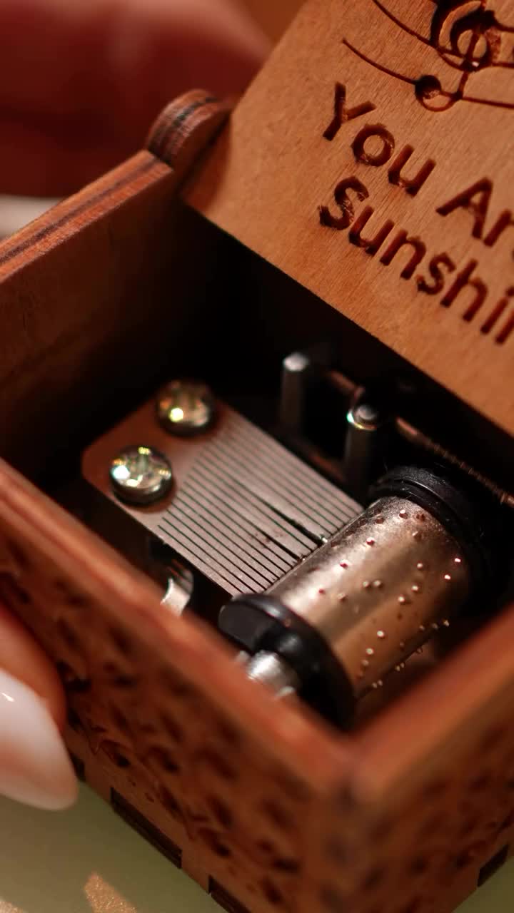 You Are My Sunshine Music Box Mechanical - Hadiah Romantis untuk Pacar, Sahabat & Keluarga