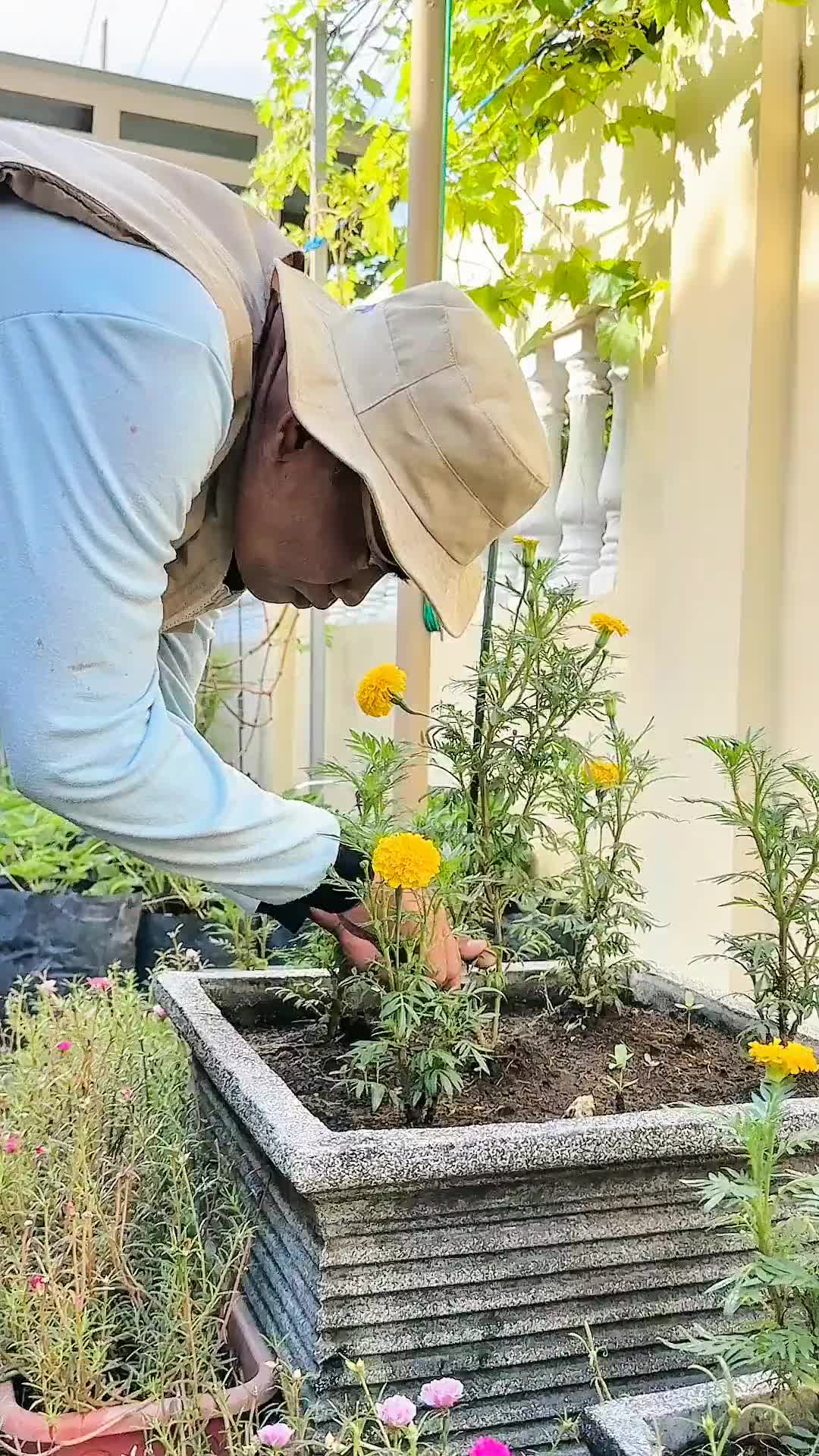 INFARM - Cocopeat Block  Media Tanam Sabut Kelapa Halus INFARM Cocopeat Balok Mini Cocopeat Serbuk Kelapa Media Tanam Menyimpan Air, Menyuburkan Tanaman Rendam Air Jadi Gembur Ramah Lingkungan, Anti Jamur Cocok Untuk Hidroponik, Anggrek, Sayuran, Buah