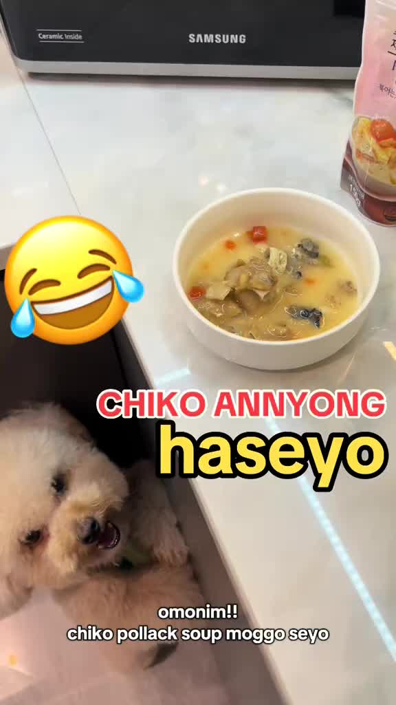 Dr Soft - The Dog And Cat Handmade Healthy Pollock Soup, Sup dengan Ikan Cod Ciapo asli untuk Anjing dan Kucing 100/150gr