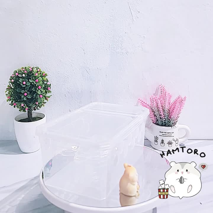 Hamtoro Kandang H10 Premium FREE TEMPAT MAKAN Kandang Rumah Gecko