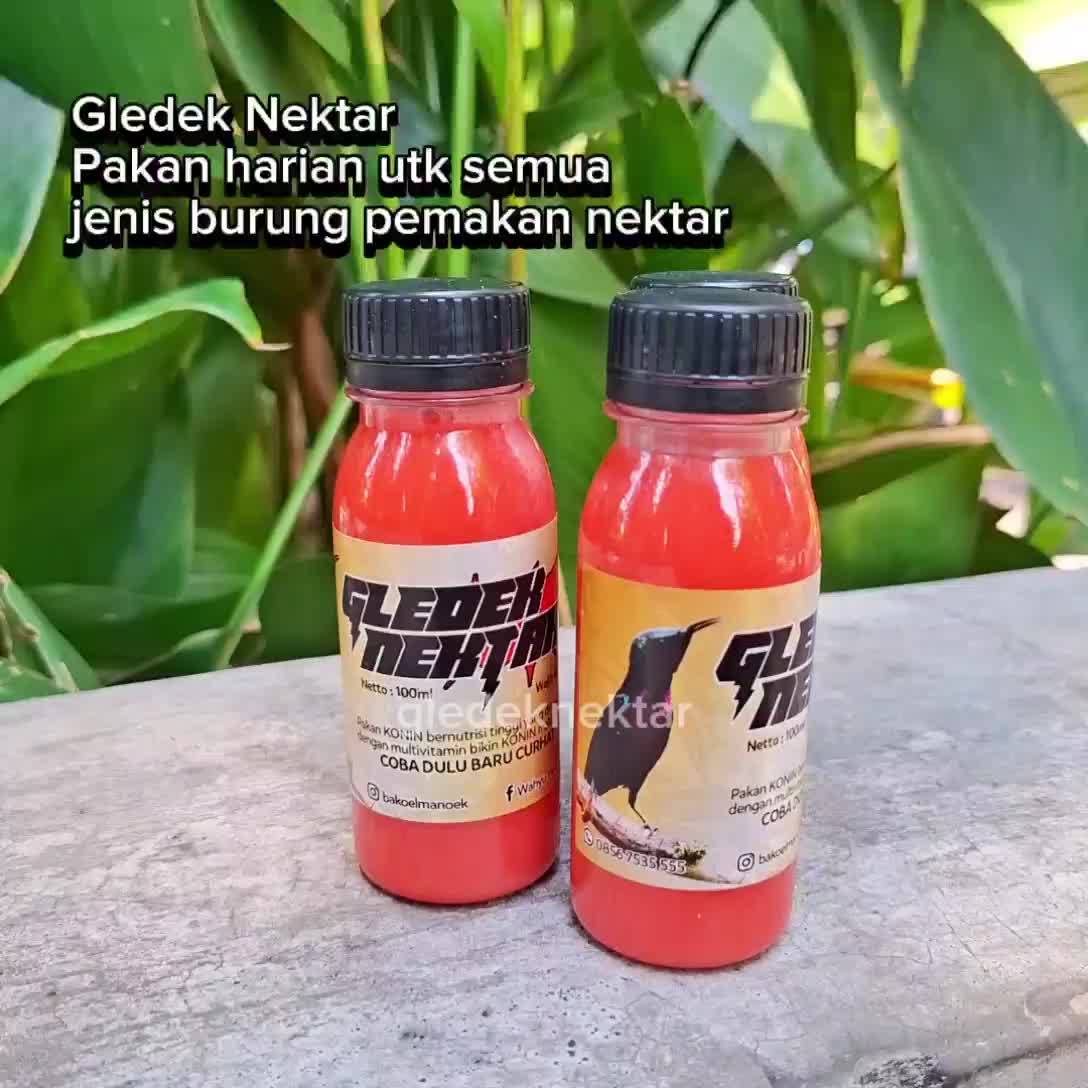 Gledek nektar 100ml / makanan burung / pakan burung / nektar / pakan burcil / pakan konin / pakan sogon
