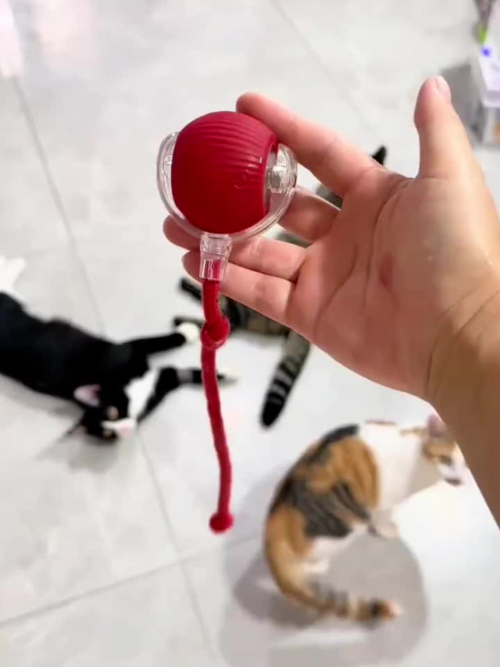 Bola kucing otomatis, bola kucing pintar, anak kucing secara otomatis menghindari latihan fisik hewan peliharaan kucing/anjing, mainan kucing elektrik