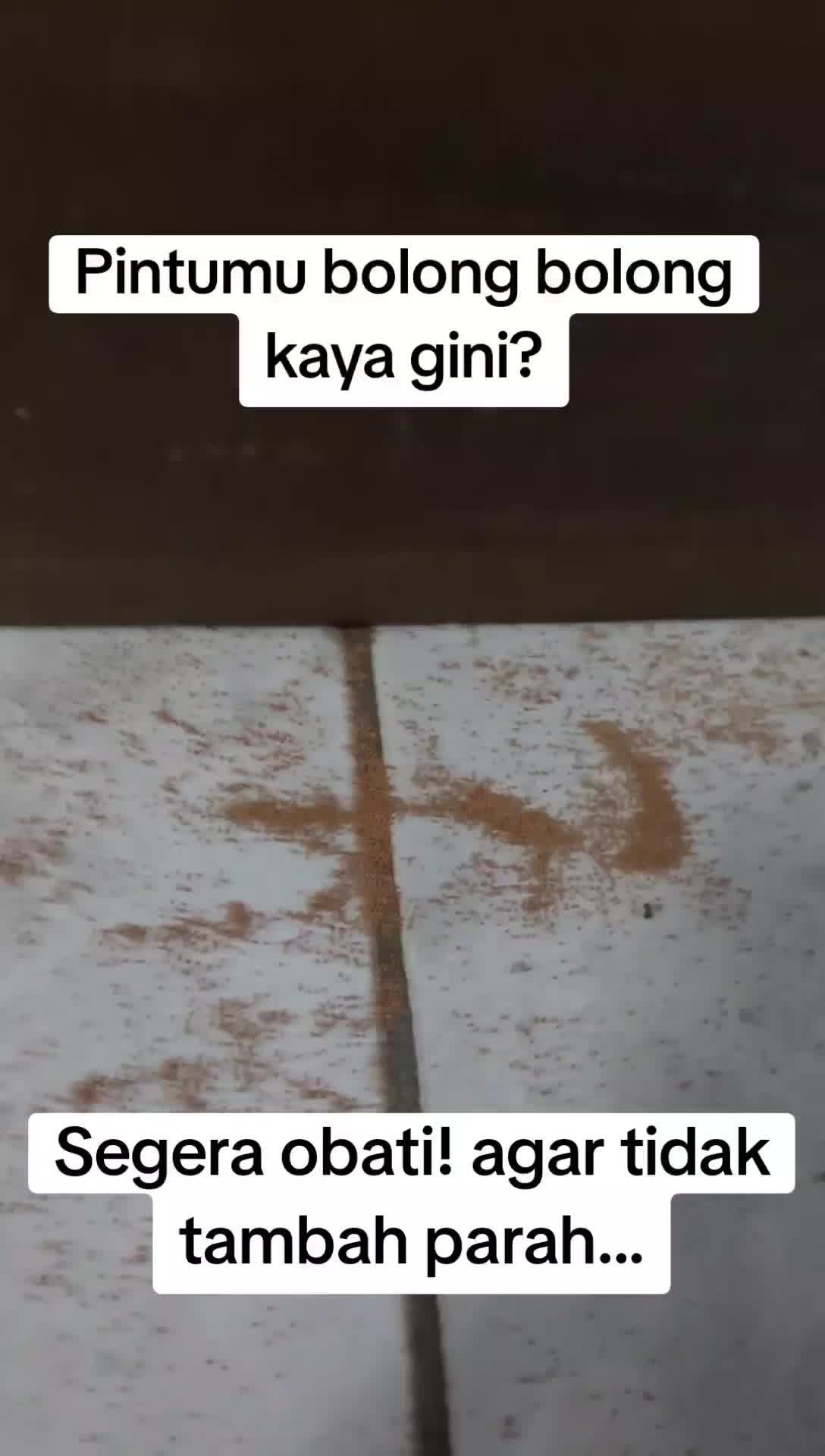 KickIt Pembasmi Teter Kayu Obat Teter Totor Bribik Brerek Nonor Rayap Kayu Ampuh