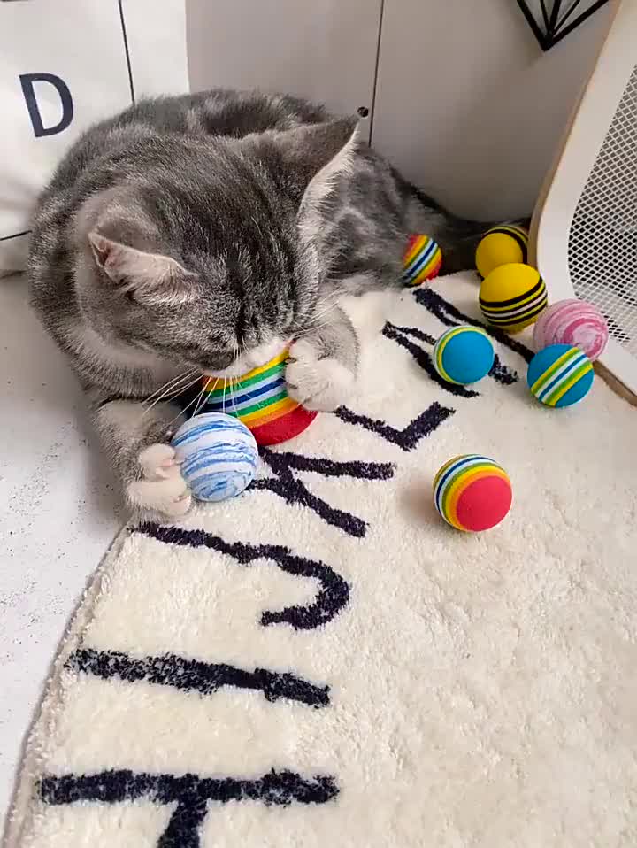 Mainan Bola Kucing Tongkat Kucing Dan Tikus Gigit Kucing Anjing Pet Toys