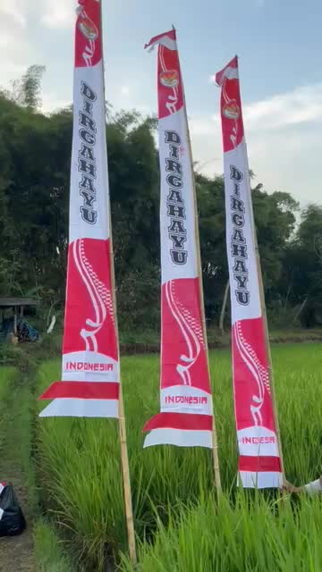 ( 10 PCS ) UMBUL UMBUL BANDIR DIRGAHAYU MINI UKURAN 3 METER REAL 2,8 METER