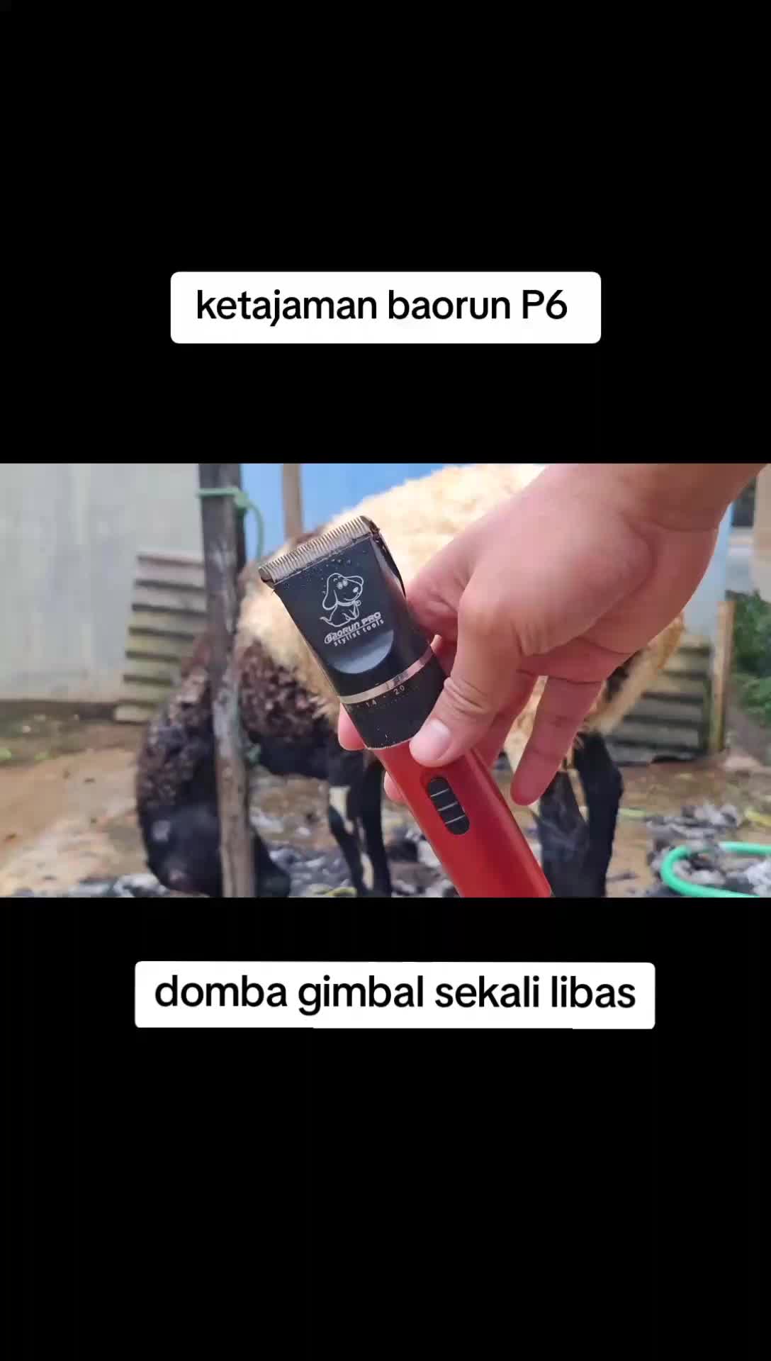Baorun P6 gratis pisau cadangan  mesin cukur hewan domba, anjing, kucing dll