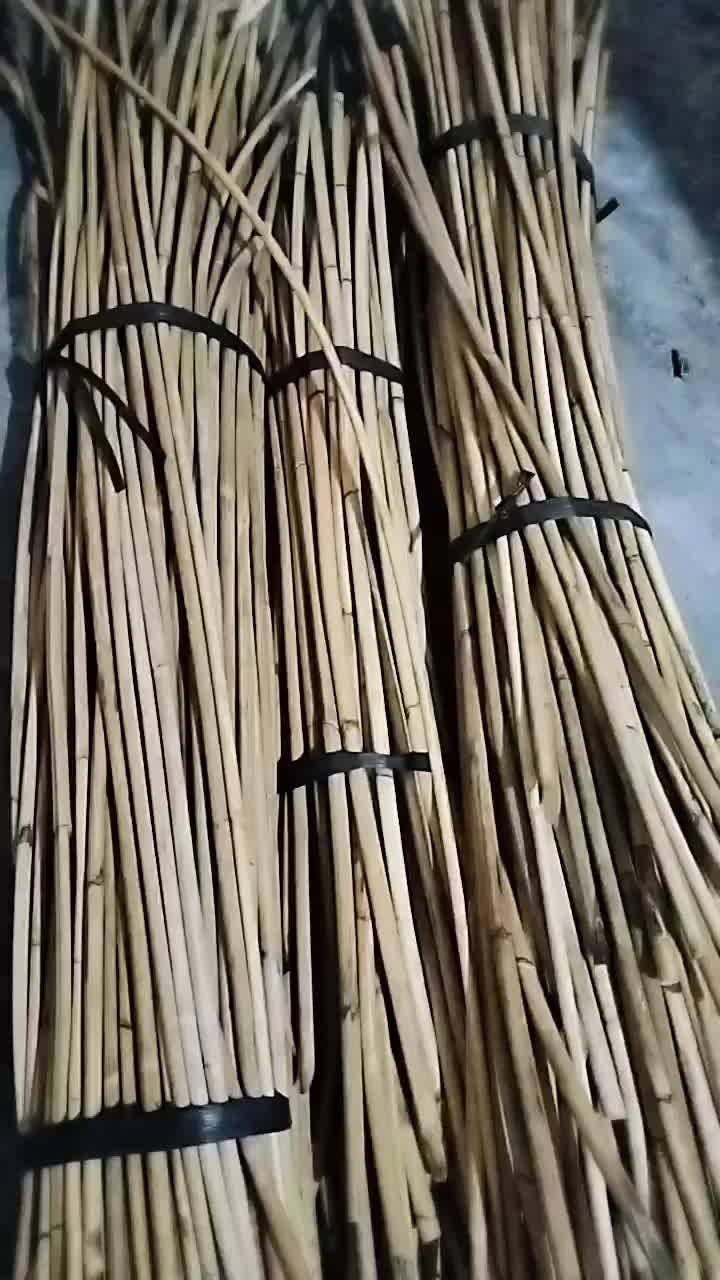 rotan batangan kecil stik rotan rotan kayu rotan kulit kecil diameter 10-14mm Kerajinan