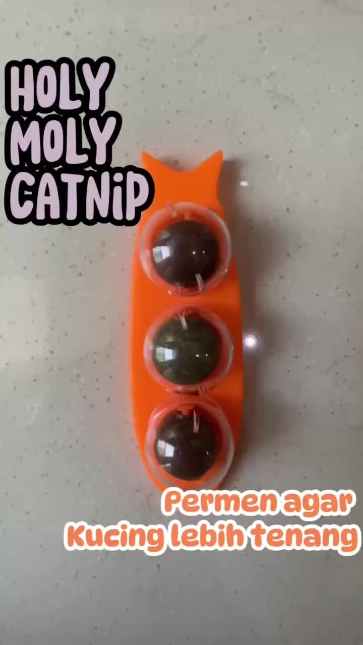 Catnip Balls Anti Stress Tempel Karakter Penguin Tikus Camilan Kucing Mainan Cat