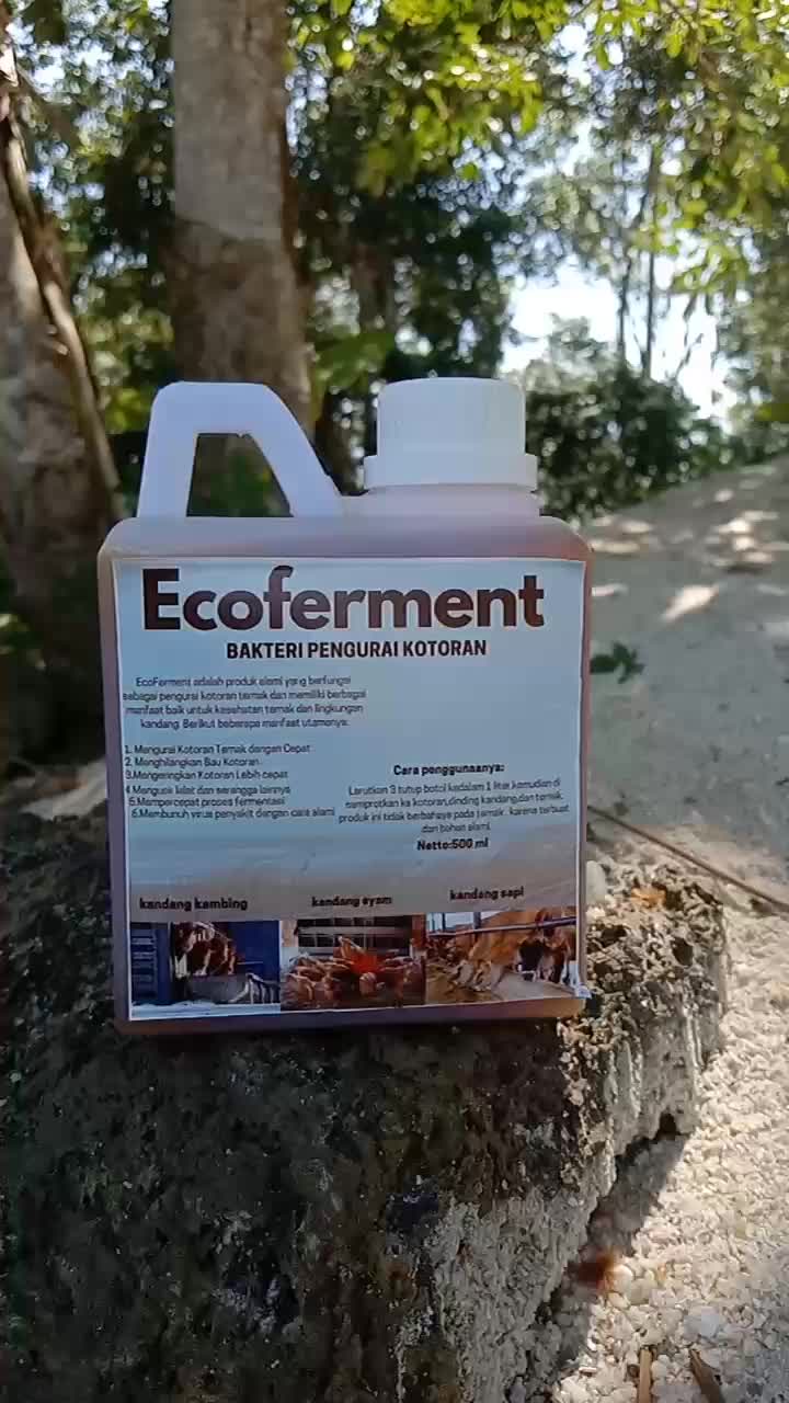 Ecoferment ,bakteri pengurai kotoran secara alami.