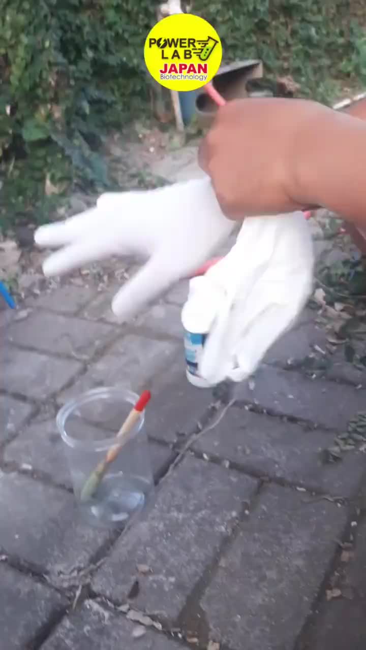 Powerlab Magic Glass Cairan Penghilang Pembersih Kerak Jamur Lumut Kaca Aquarium Akuarium Aquascape Jendela Cermin Terkena Noda Air Berkerak Waterspot Membandel Buram Kamar Mandi Paling Ampuh Non HCL 250 Ml