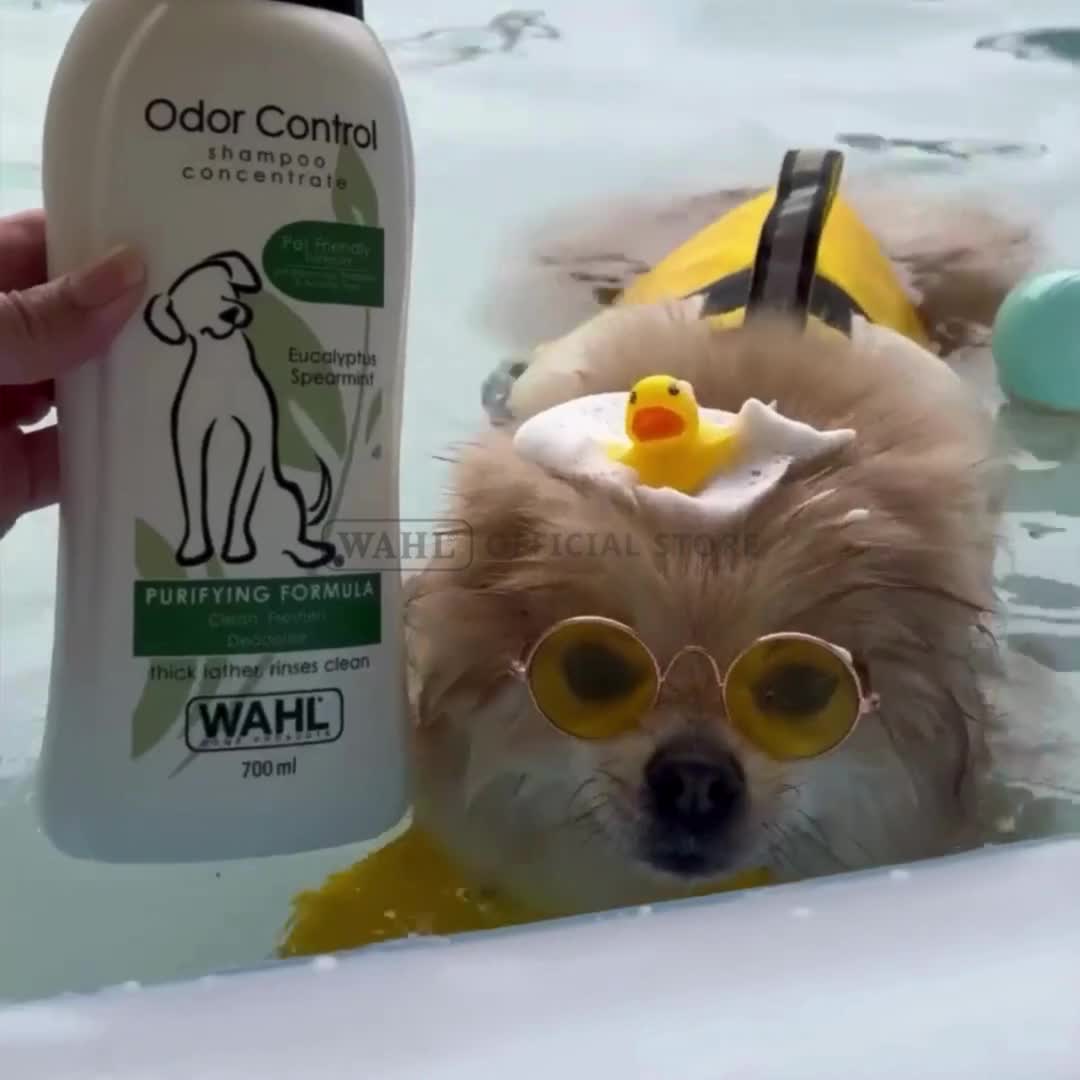 Wahl Pets Dog Odor Control Shampoo 700ml – Sampo Anjing, Sampo Anjing Anti Bau, Penghilang Bau Anjing, Sampo Kucing