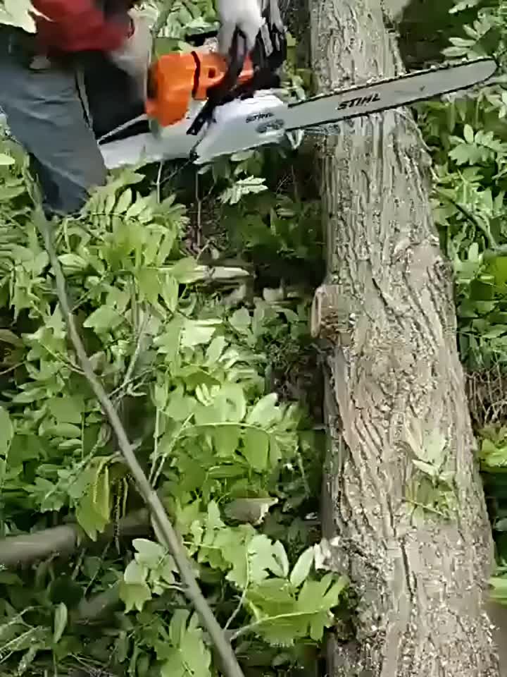 REAIM Mesin Potong Kayu 58CC 20Inch Chainsaw Mesin Gergaji Chainsaw Untuk Potong Kayu Alat Pemotong Lanjut Bensin Portabel Kuat dan Tahan Lama Cocok Untuk Kayu Besar Proyek Konstruksi Harga Terbaik Garansi 5 Tahun
