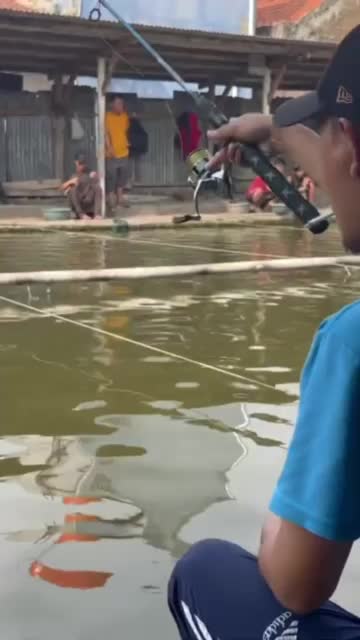 Umpan Juara (UJ) umpan jadi siap pakai mancing ikan mas Pancing