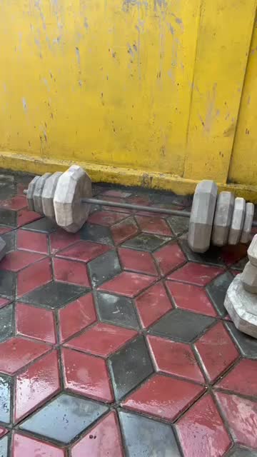 Stick Barbel Curl Besi Berkualitas Tongkat besi Pull up bar