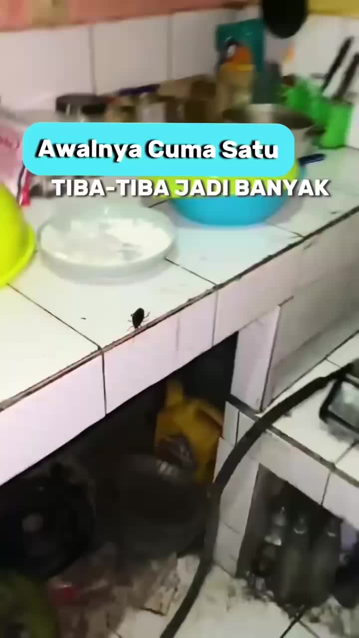PEMBASMI KECOA PALING AMPUH QUICKPICK (FREE 250ML) Anti Roach Killer Spray 100ML 250ML 1L Aromatic Spray Lipas Coro Kongkang Racun Cairan Pengusir Anti Serangga Kecoak di dalam Mobil Lemari Kamar Mandi DIJAMIN AMPUH 100% Langsung Mati Bukan Wiselie HIT