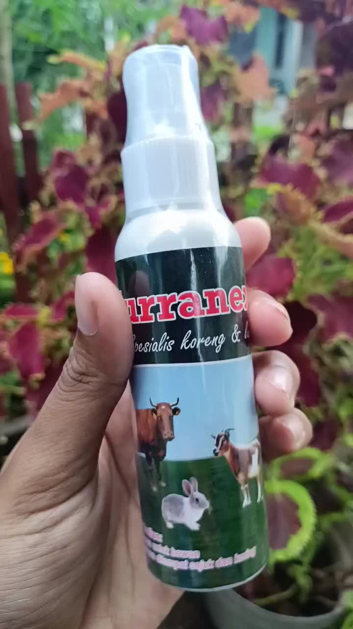 Obat Scabies Luka Koreng untuk Sapi Kambing Domba Kerbau Kelinci