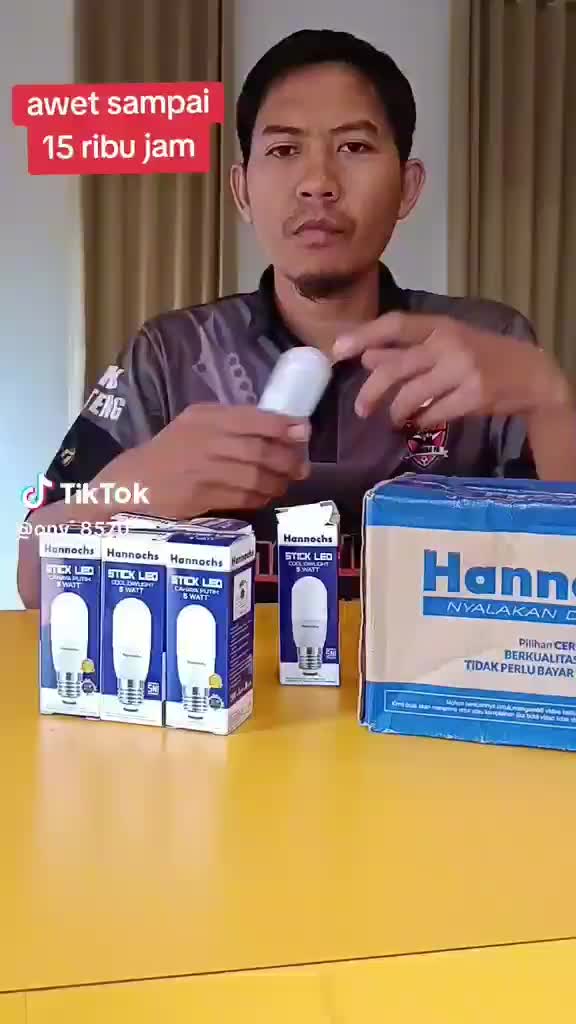 Lampu Stick LED 12w 9w 7w 5w Lampu Stik Dekor Cahaya Putih Hannochs