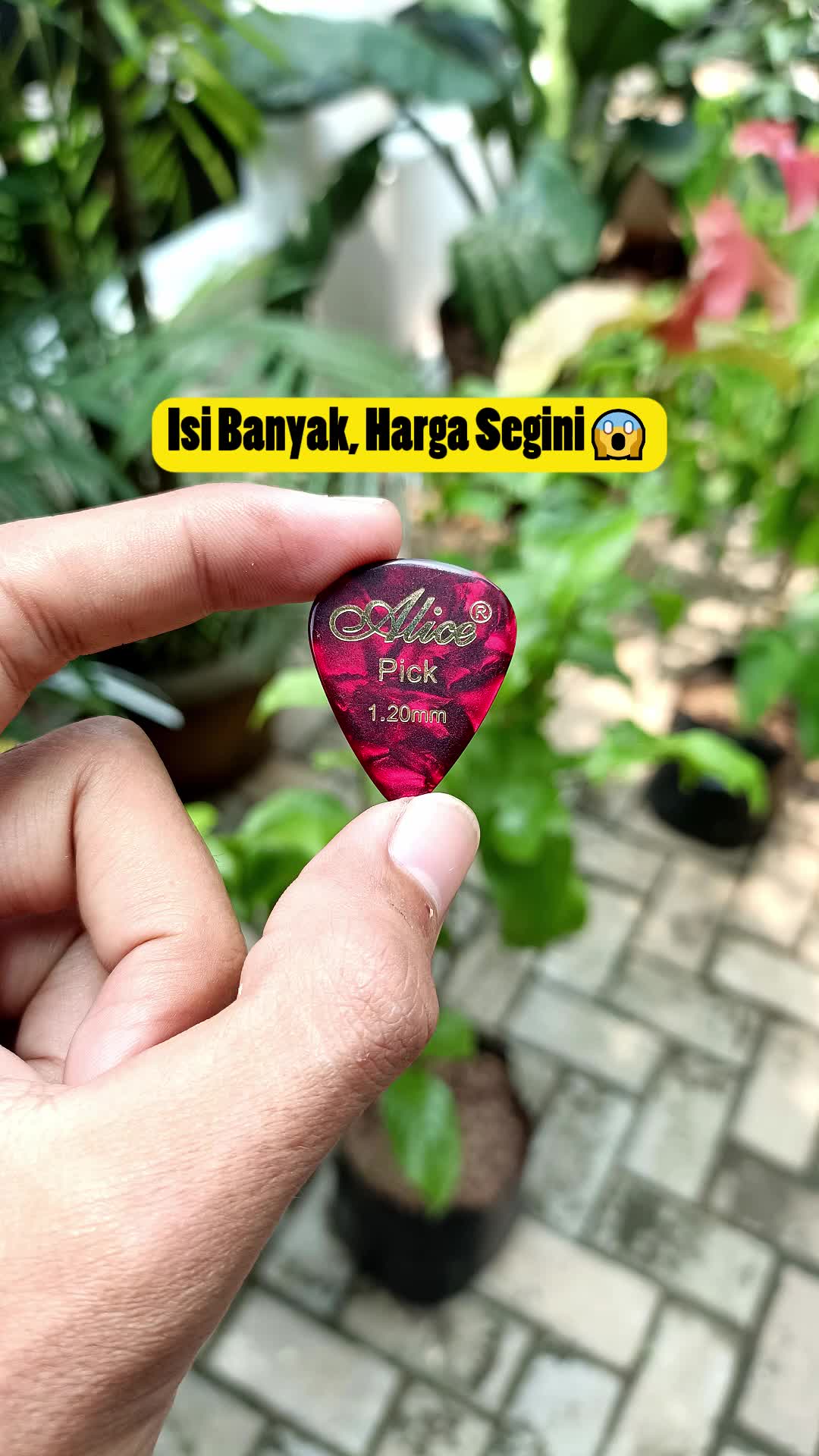 5pcs Alice AP-K  Hot Stamping Celluloid Pick Gitar
