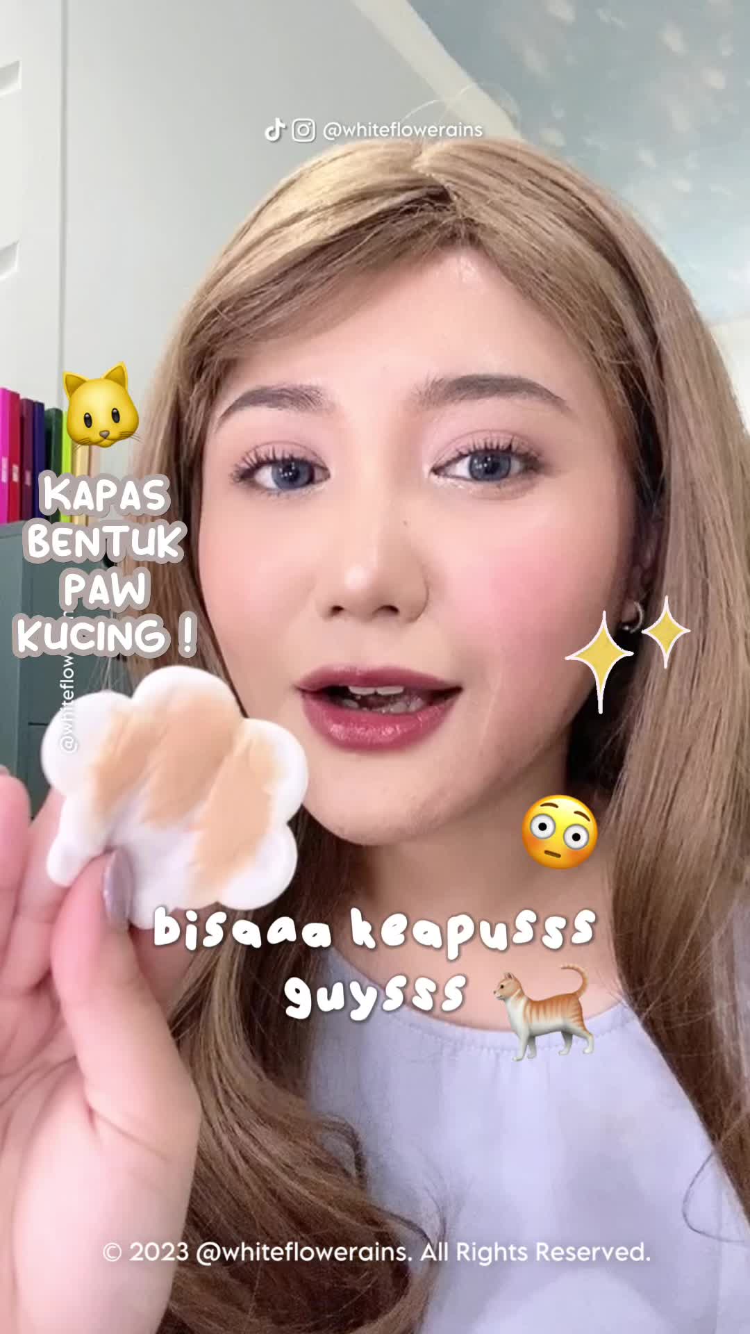 Dulce Luna Facial Cotton Paws / Kapas bentuk paw kucing