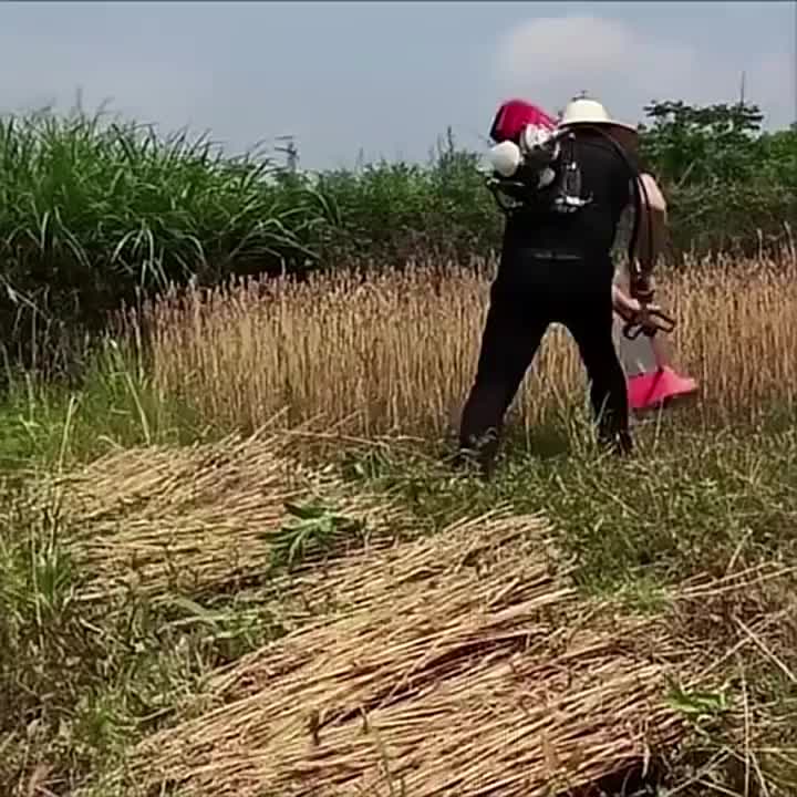 REAIM Mesin Pemotong Rumput 52CC 6500W 2/4 Tak 10000R/M 1.2L Mesin Pemotong Rumput Ransel yang Kuat 4 TAK dengan Garansi 5 Tahun COD