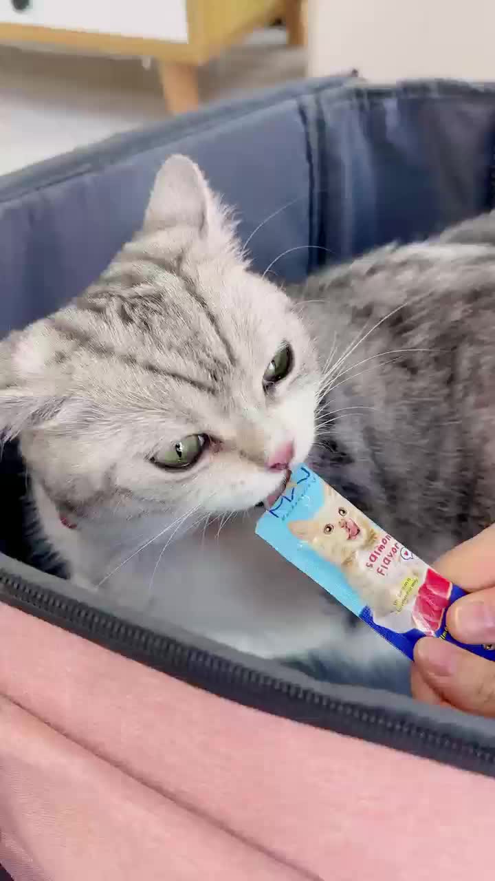 50pcs Cemilan Kucing Kitten Snack Kucing Creamy Cat Treats seaweed extract 24 bulan snack  kucing